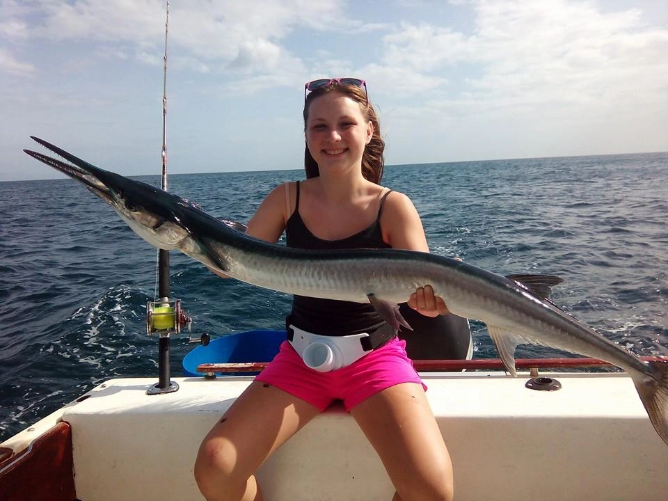Needle Fish