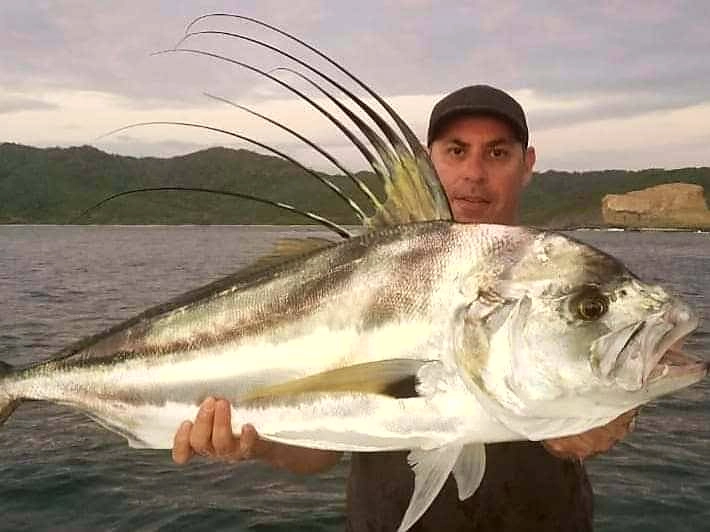 Nicaragua Fishing Charters Roosterfish